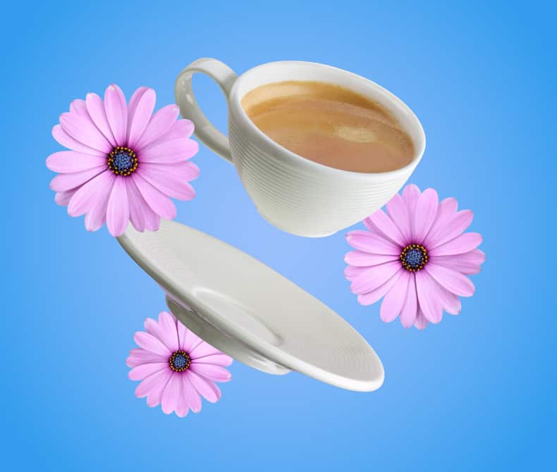 Discover exciting flavors and explore a world of irresistible flavour sensations