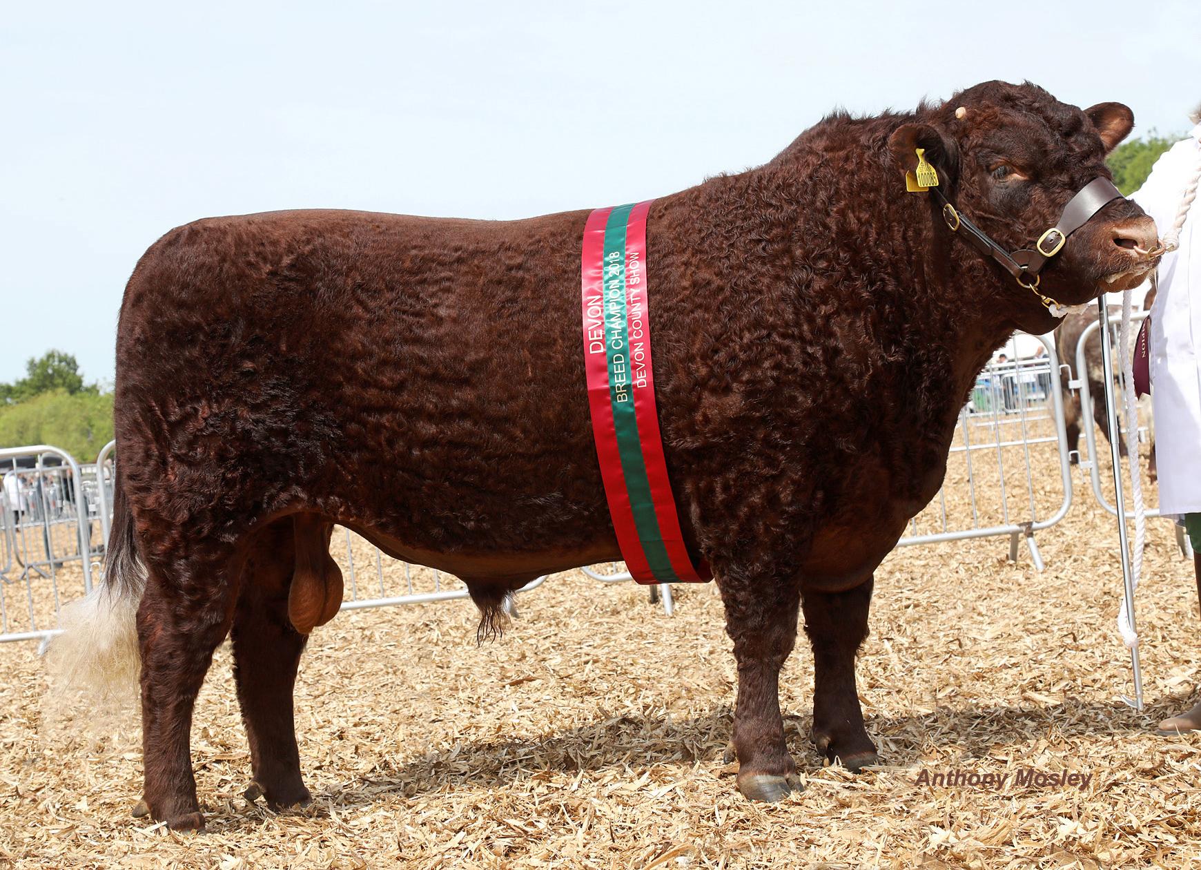 What's new at Devon Count