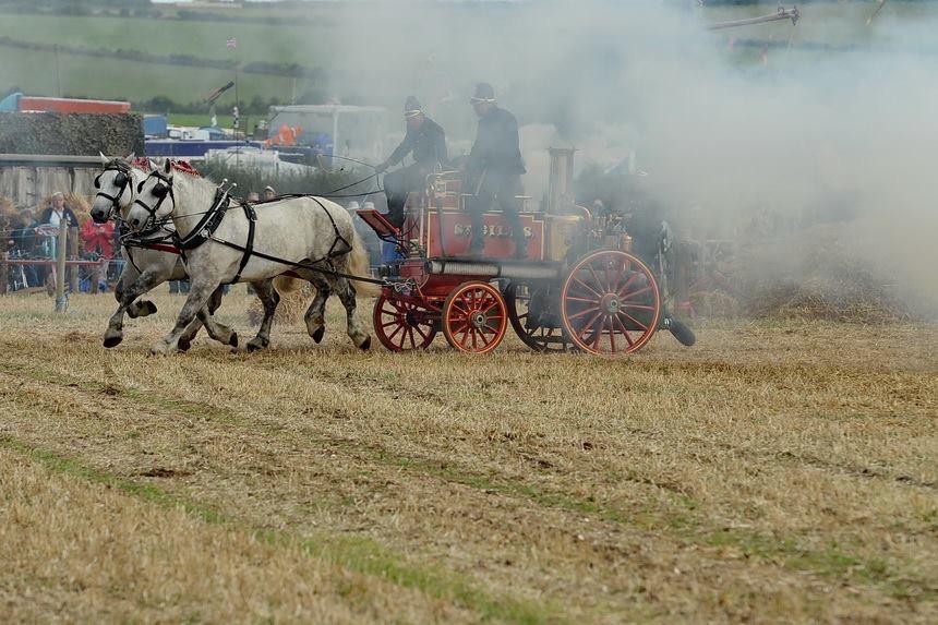 Heavy Horse & Breed Villa