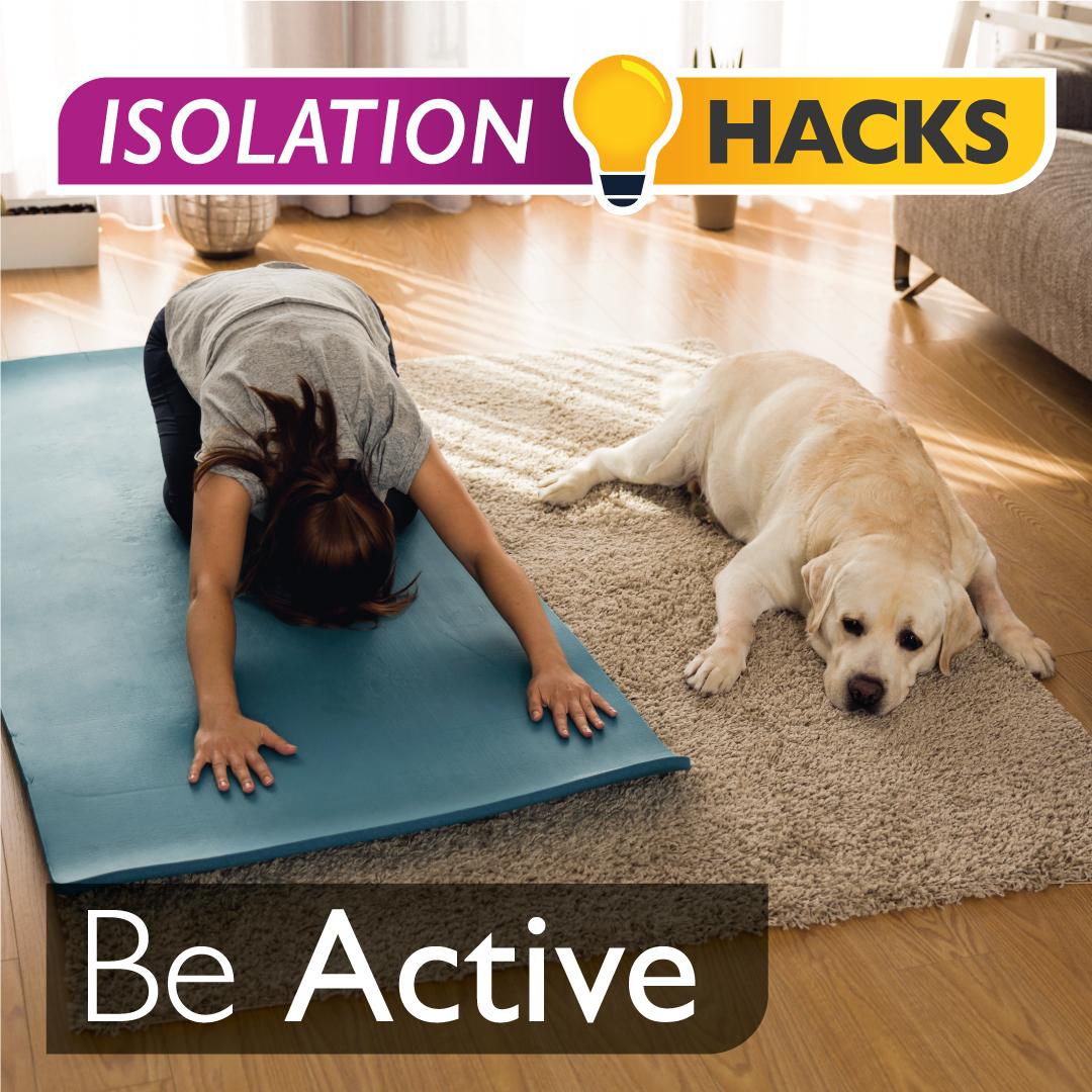 Be Active: Dog yoga!
