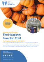 Charity pumpkin trail