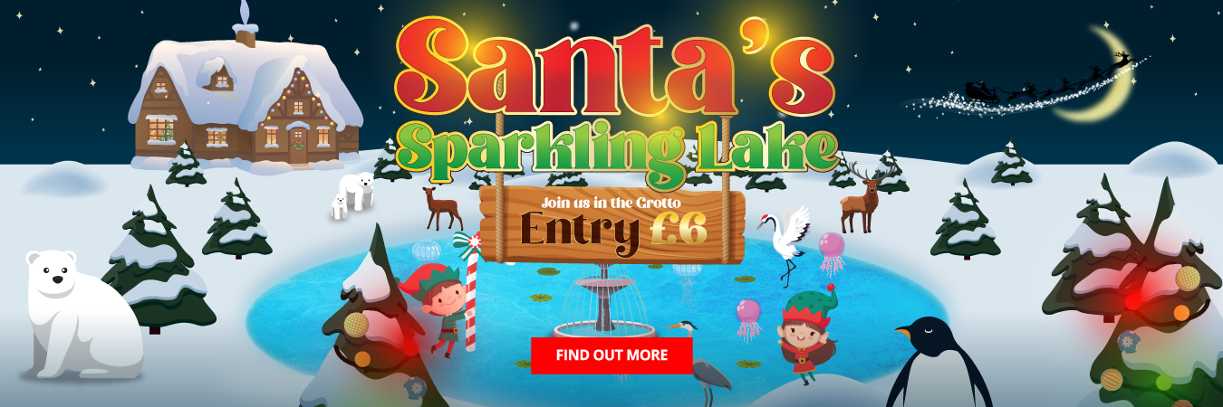 Santa’s Sparkling Lake