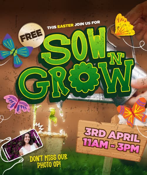 Sow 'n' Grow